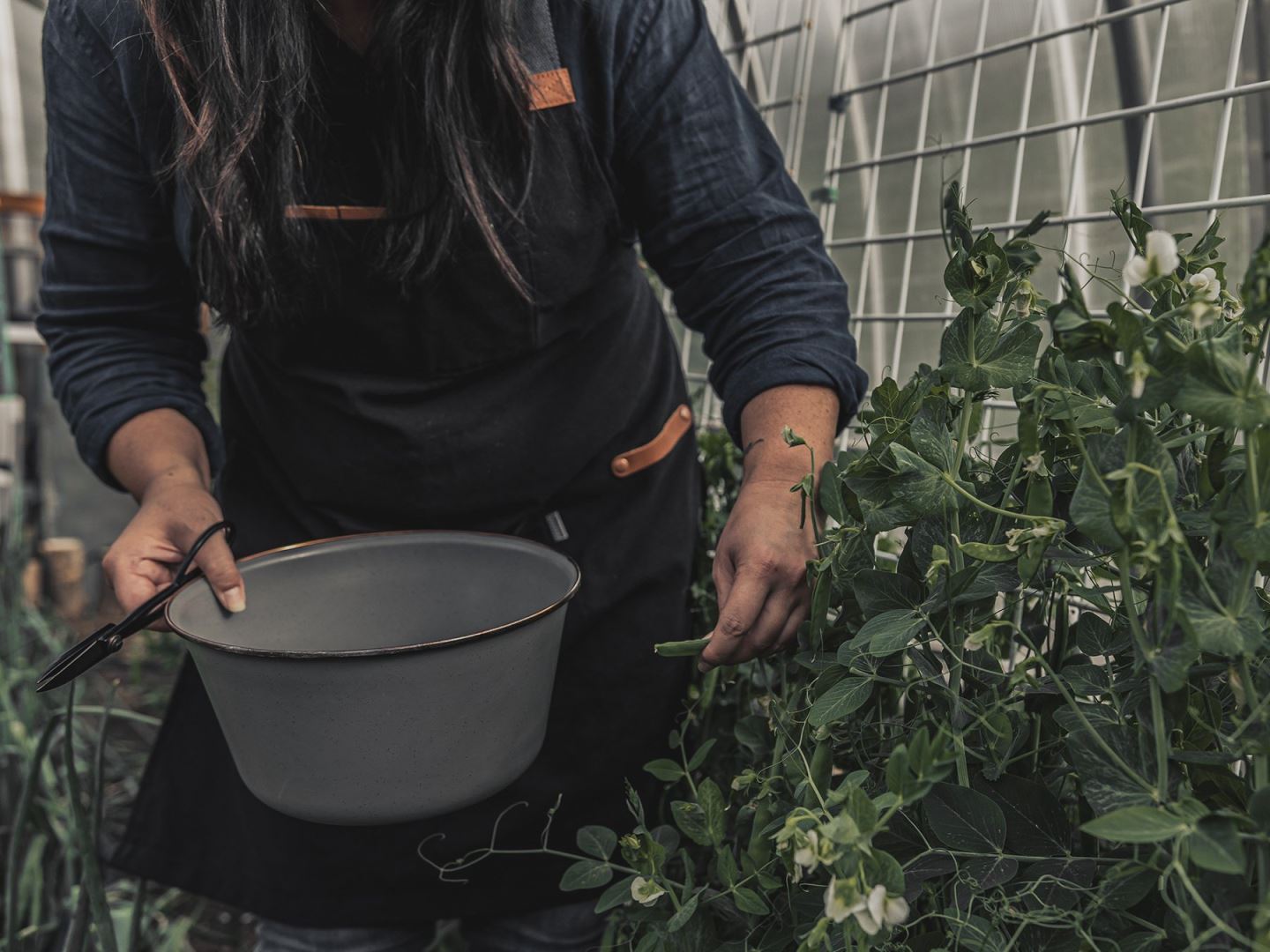 The Chef Apron/Schort Barbecue Accessoire