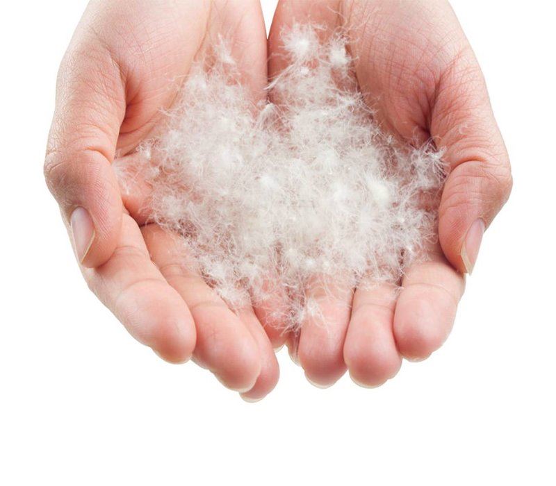 K2 Expedition Schwarz Mumienschlafsack