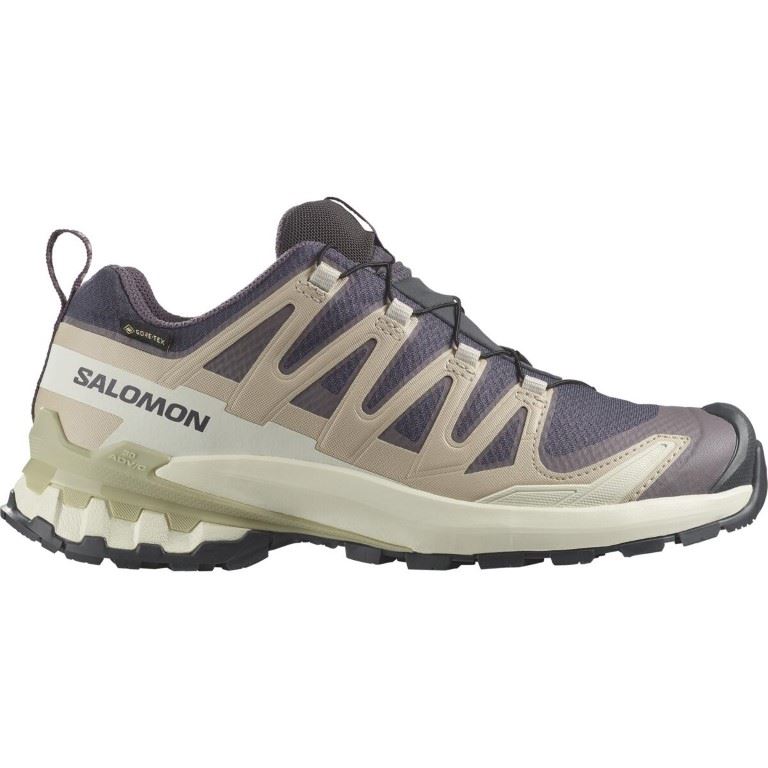 XA Pro 3D V9 GTX Lage Wandelschoen Dames Nine Iron/Oxford Tan/Alfalfa 8