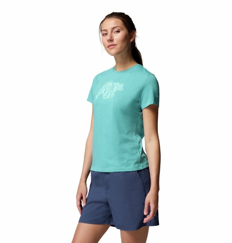 Ruby Springs™ Graphic Fitted SS T-shirt Dames Soellaart.nl