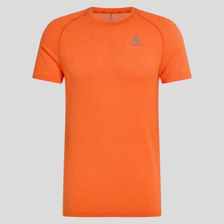 T-shirt à col ras du cou SS Hard Running Hommes Soellaart.nl