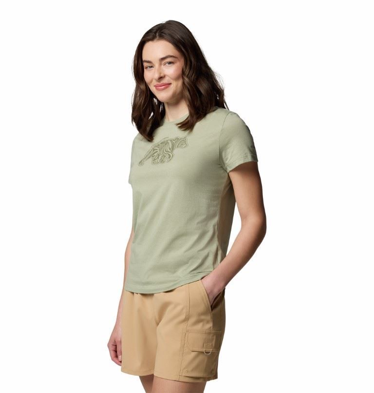 Ruby Springs™ Graphic Fitted SS T-shirt Dames Soellaart.nl