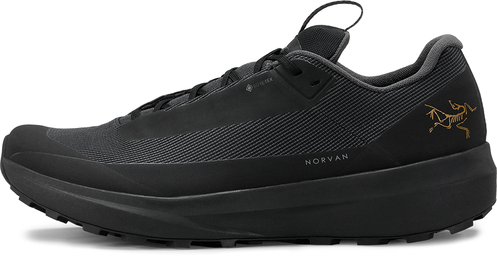 Norvan LD 4 GTX Hardloopschoen Heren Black/Black 10